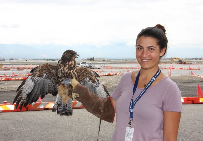 Areanna_Birdzoff Areanna Sabine, bird deterrent ceo