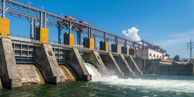 hydroelectric and water bird control