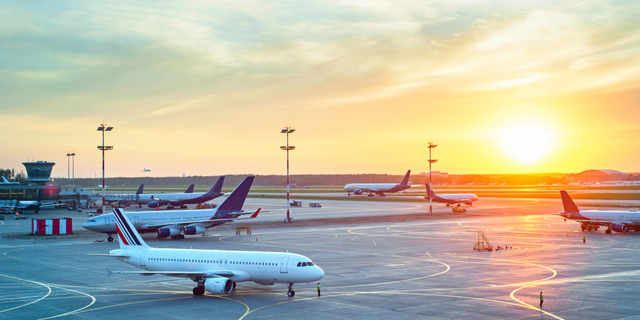 aviation bird deterrents