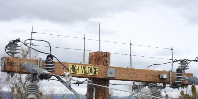 bird wire deterrent for industrial