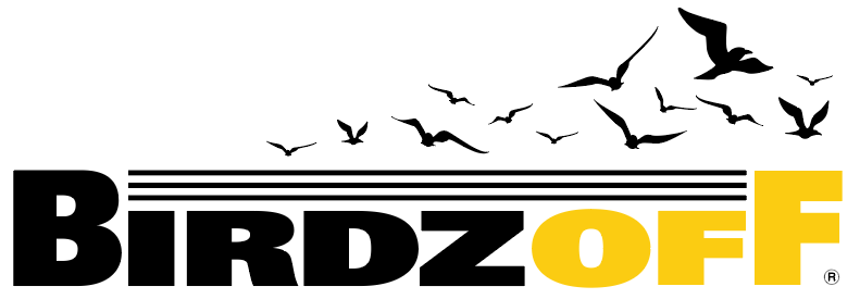 Prevent Eagles Infestations with Our Trusted Bird Control Solutions