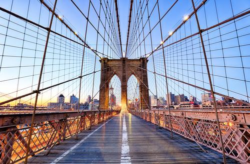 bird control for bridges and roadways