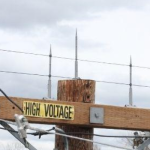 prevent electric fascilities from birds nesting